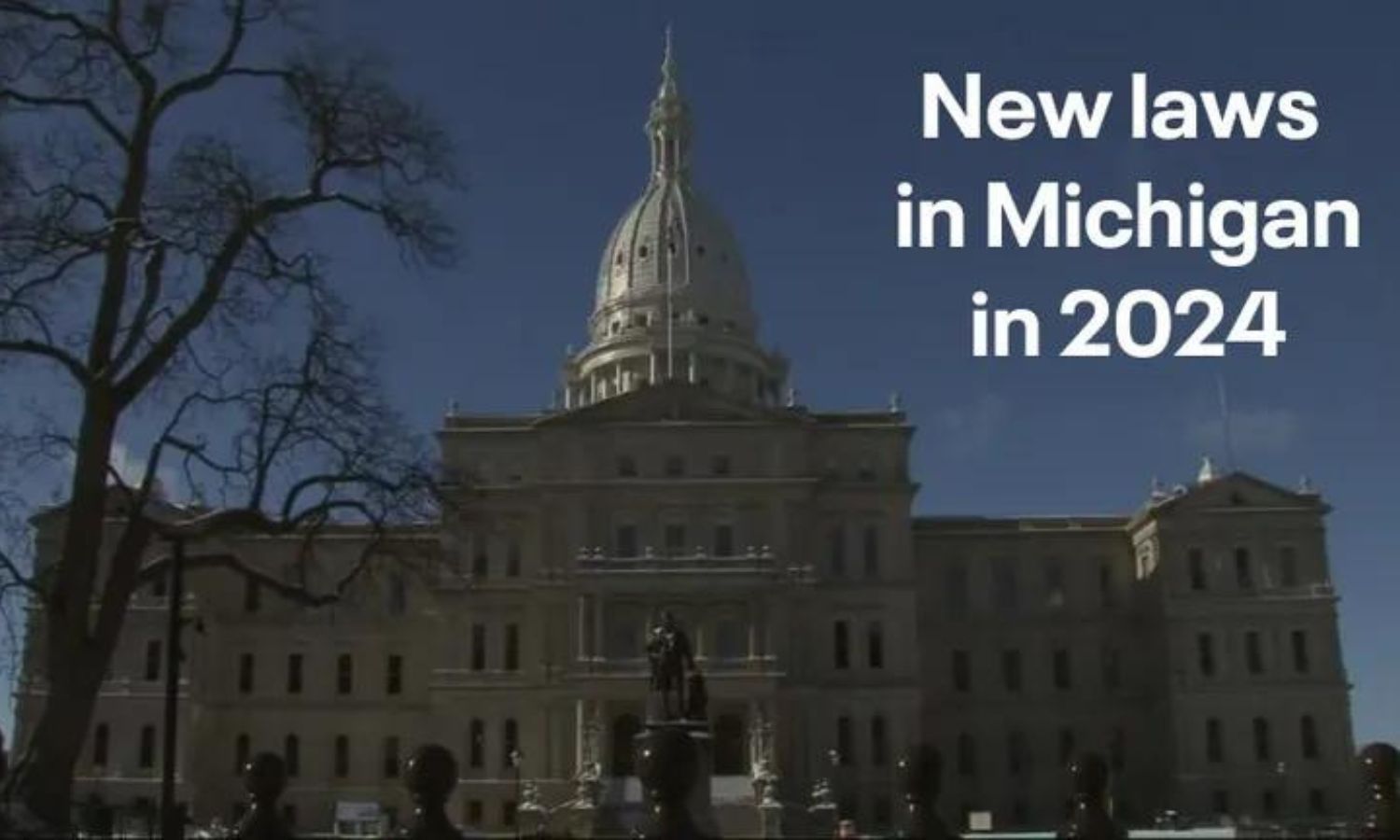 New Laws in Michigan in 2024