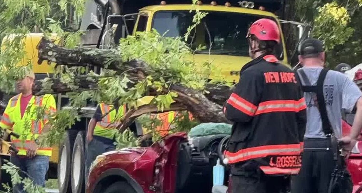 One Fatality Reported After Tree Falls on Car in Gaston County