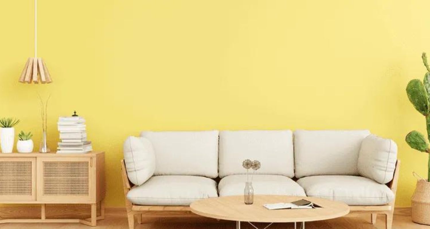 Top 6 Paint Brands Trusted by Interior Designers